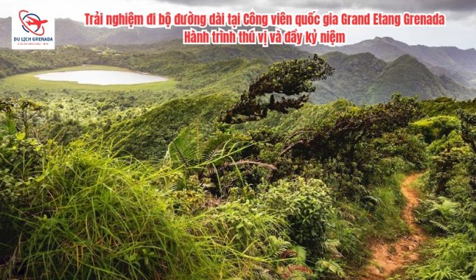 Trải nghiệm đi bộ đường dài tại Công viên quốc gia Grand Etang Grenada: Hành trình thú vị và đầy kỷ niệm